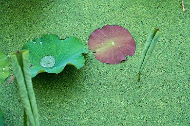 一亿“财富”引发的都市怪奇物语《亿数追忆》将于8月26日Steam平台正式发售